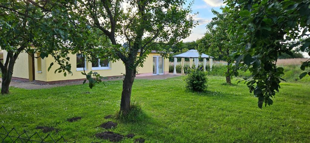Gallery image of Bungalow Feldblick 1937 in Blankensee