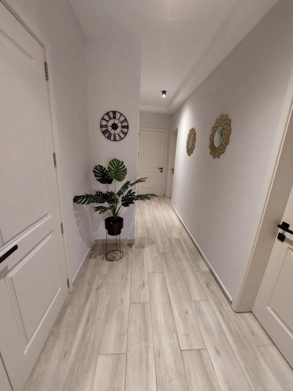 Fotografie z fotogalerie ubytování Serenity Apartment v destinaci Marsalforn