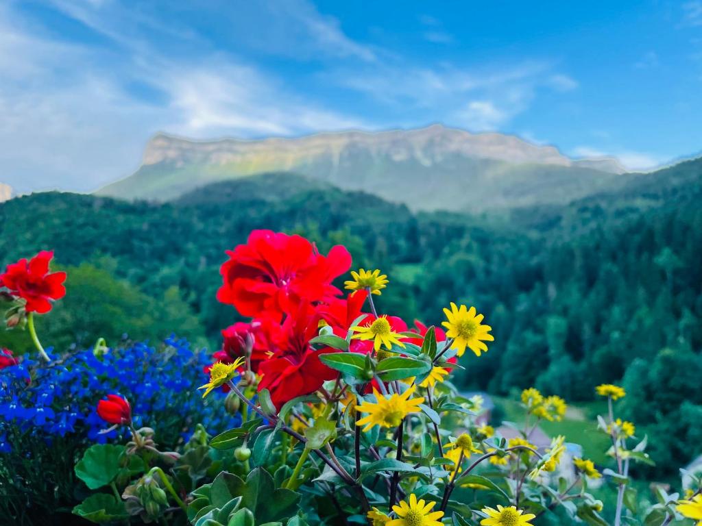 Photo de la galerie de l'établissement La Sabaudia en Chartreuse, à Saint-Pierre-dʼEntremont