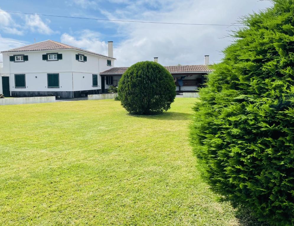 eine Hecke im Hof eines Hauses in der Unterkunft Casa da Fajã in Ponta Delgada