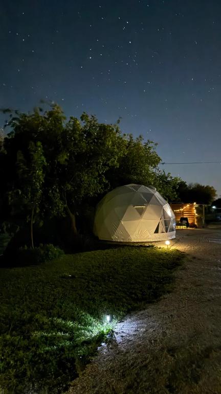 Příroda nedaleko luxury tent