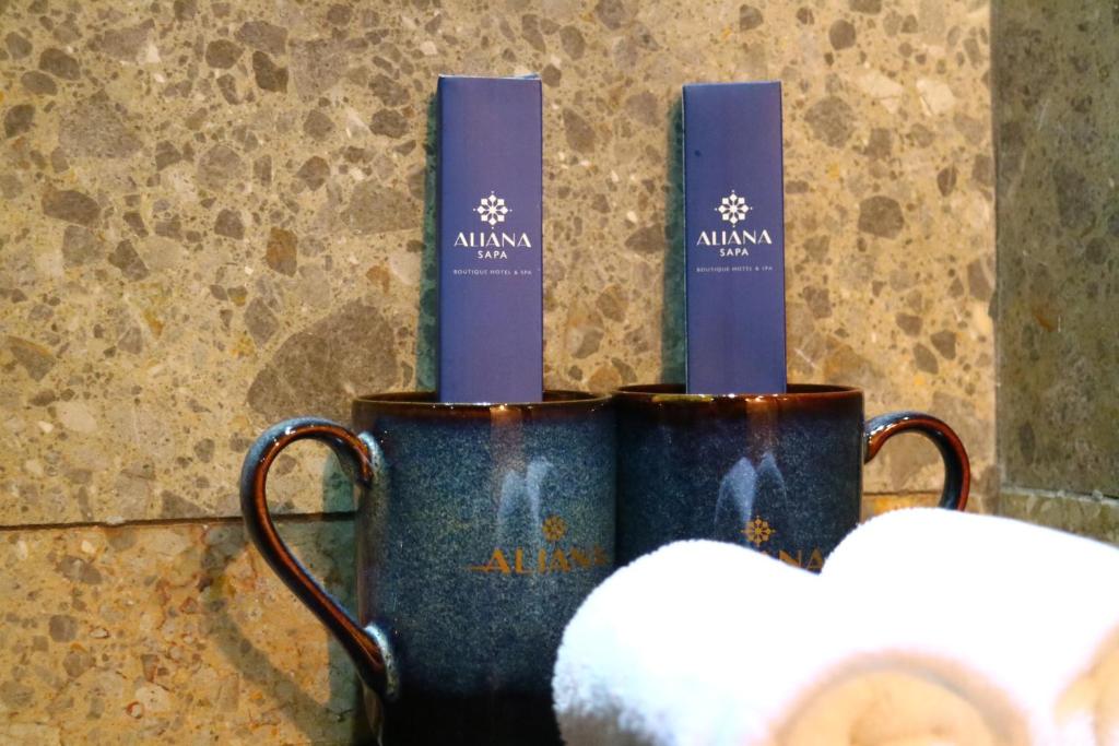 Aliana Boutique Sapa Hotel & Spa - 10