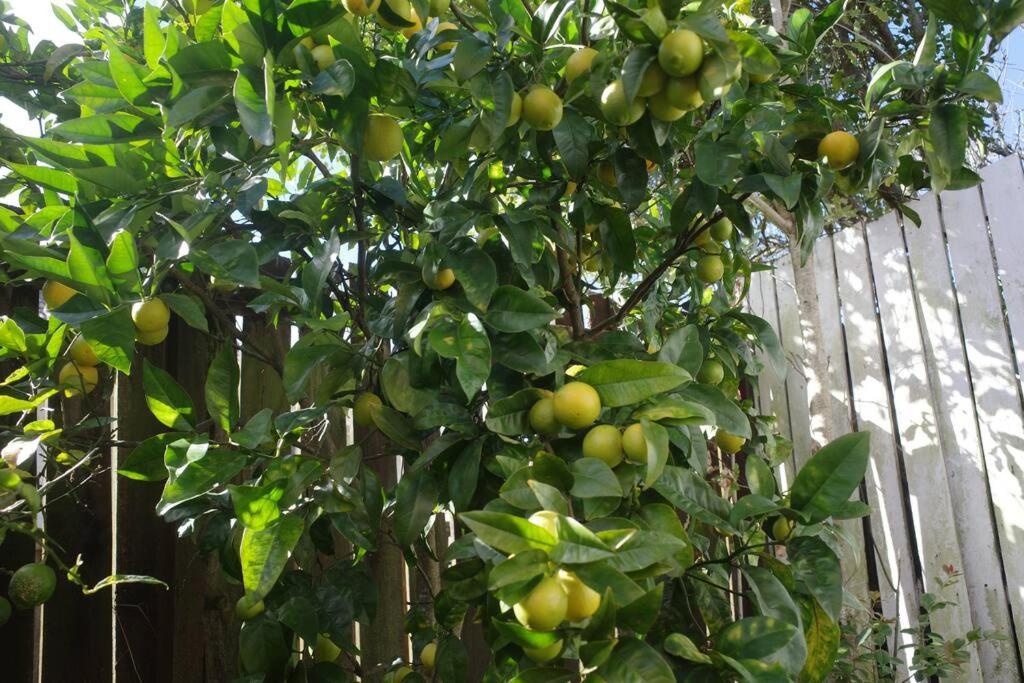 Hillsborough Spacious 3BR with Ensuite -12mins frm Airport - Resim 21