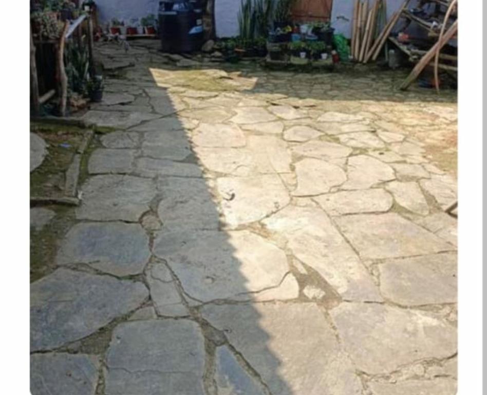 Fotografie z fotogalerie ubytování Nungsangjungla Homestay v destinaci Mokokchūng