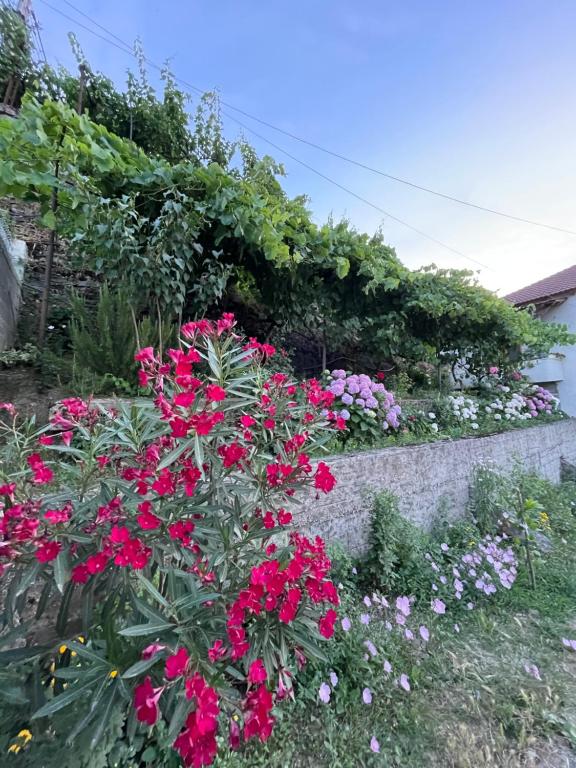 Příroda nedaleko bed and breakfast