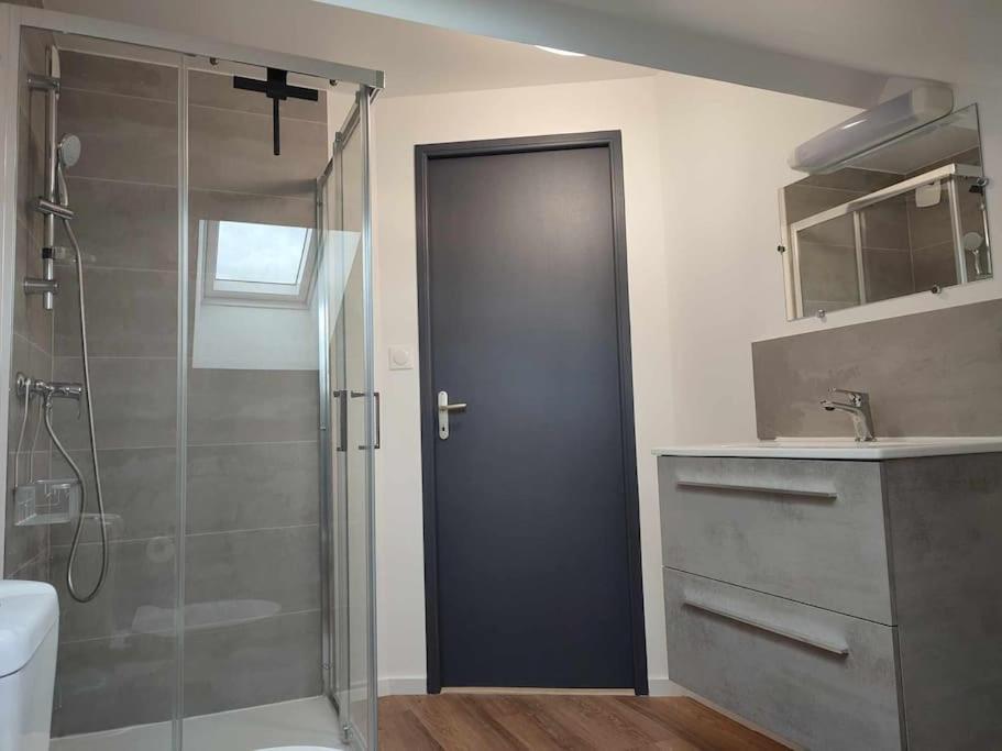 a bathroom with a shower and a glass door at Maison privée de 1 à 6 voyageurs in Valframbert