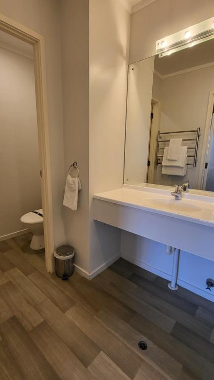 Manukau Motor Lodge - Resim 13