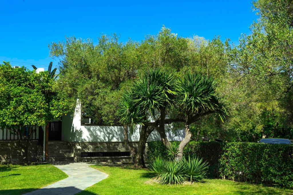 Zahrada ubytování Hotel Hanioti Village Spa