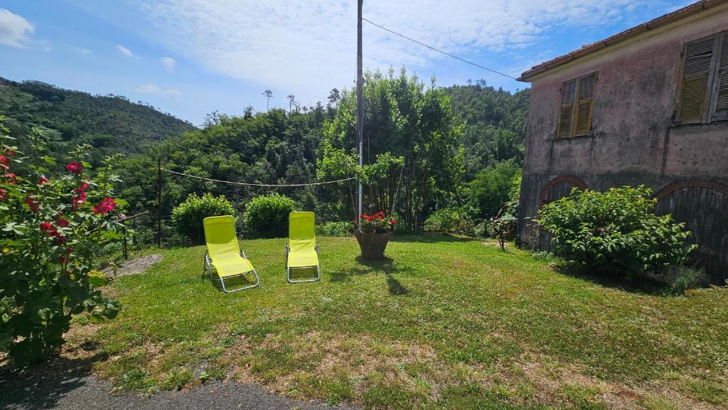 Zahrada ubytování Casa Gaggiola