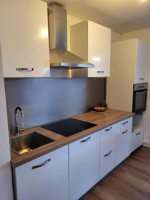 une cuisine avec un évier et un plan de travail dans l'établissement charmant appartement bien situé, au Mans