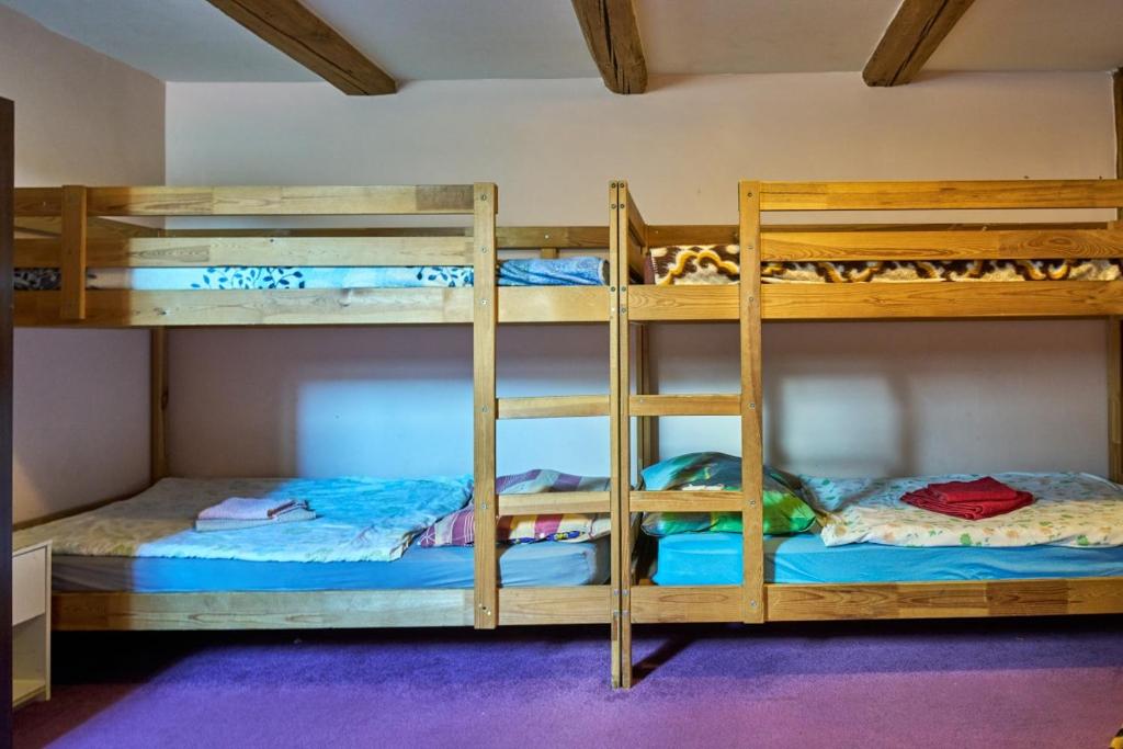 Postel nebo postele na pokoji v ubytování Penzion Pegas Depoltovice