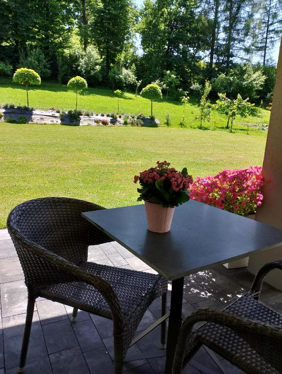 a table and chairs with a potted plant on a patio at Apartament z ogrodem in Przemyśl