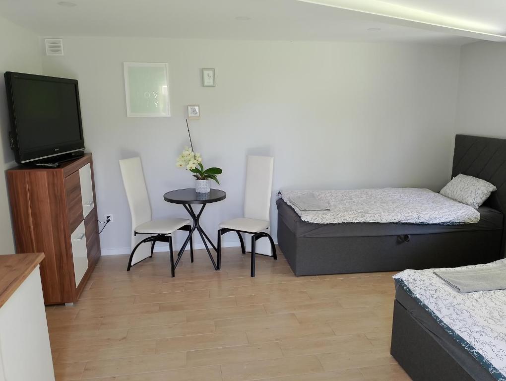 a room with a bed and a table and a tv at Apartament z ogrodem in Przemyśl