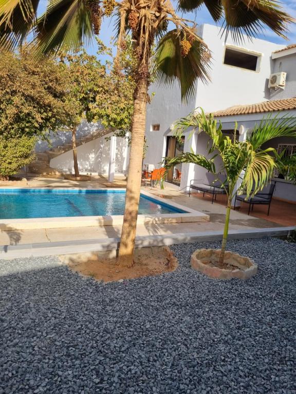 two palm trees sitting next to a swimming pool at villa avec piscine in Somone