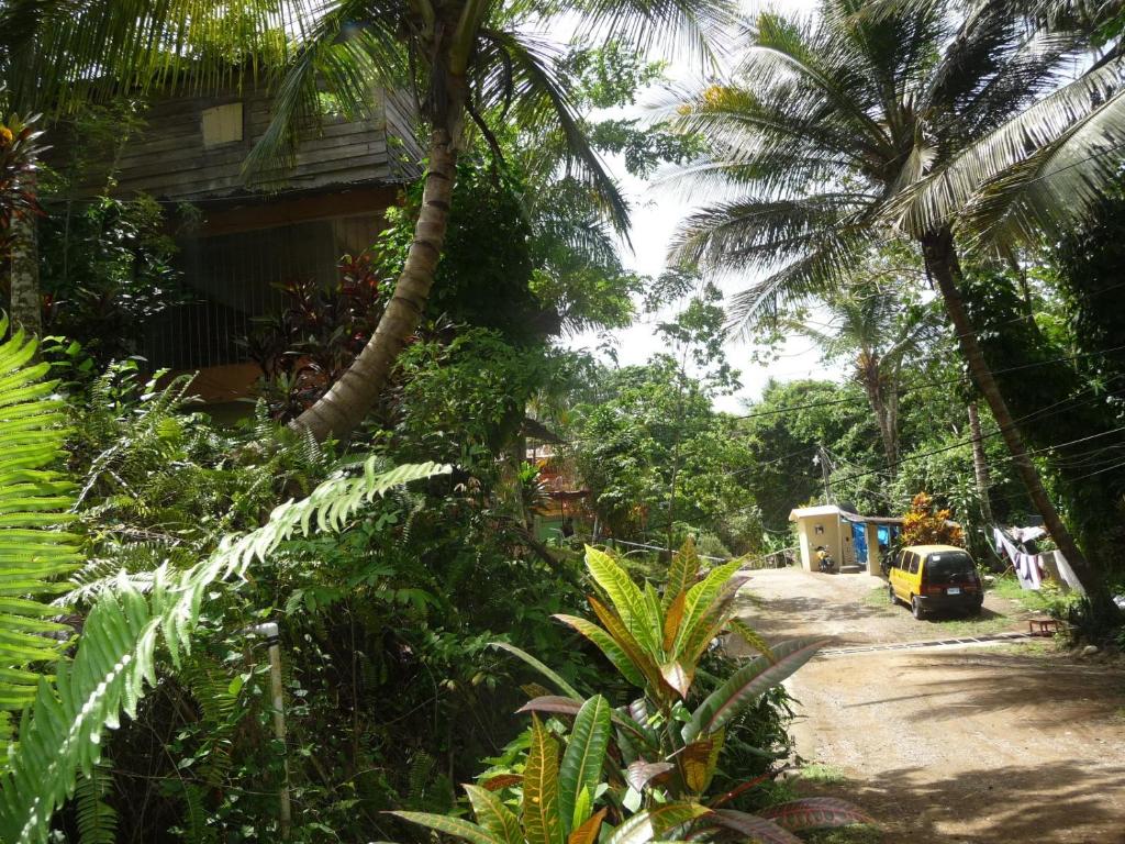 a dirt road with palm trees and a car on it at Sun Camp DR Eco-Village in Muñoz