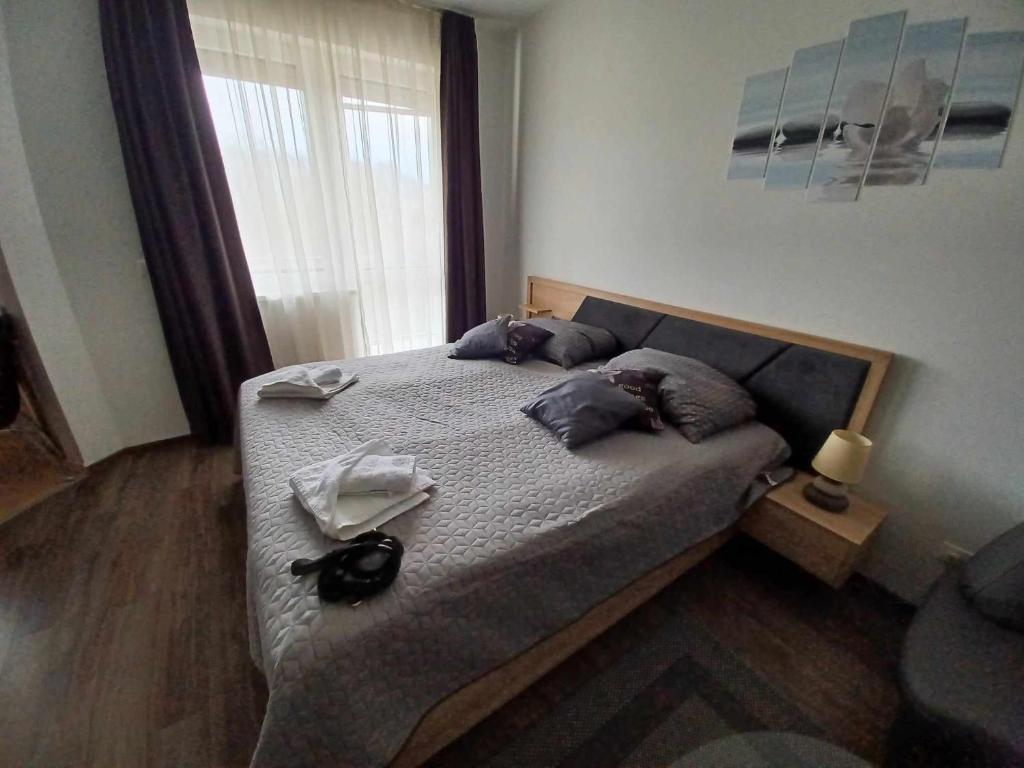 Royal Apartman 8749 Zalakaros, MenDan Apartmanház 8749 Zalakaros Gyógyfürdőtér 6 F kép - 1
