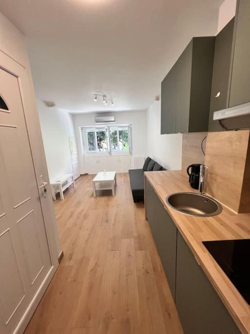 une cuisine avec un évier et un salon dans l'établissement Appartement de charme au cœur de la vielle ville, à Villefranche-sur-Mer