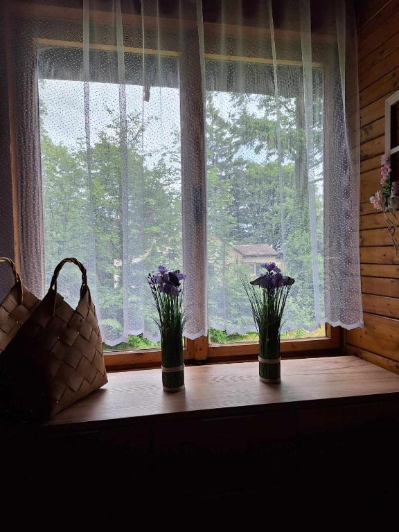 Fotografie z fotogalerie ubytování Chata u tří borovic v destinaci Chvalatice
