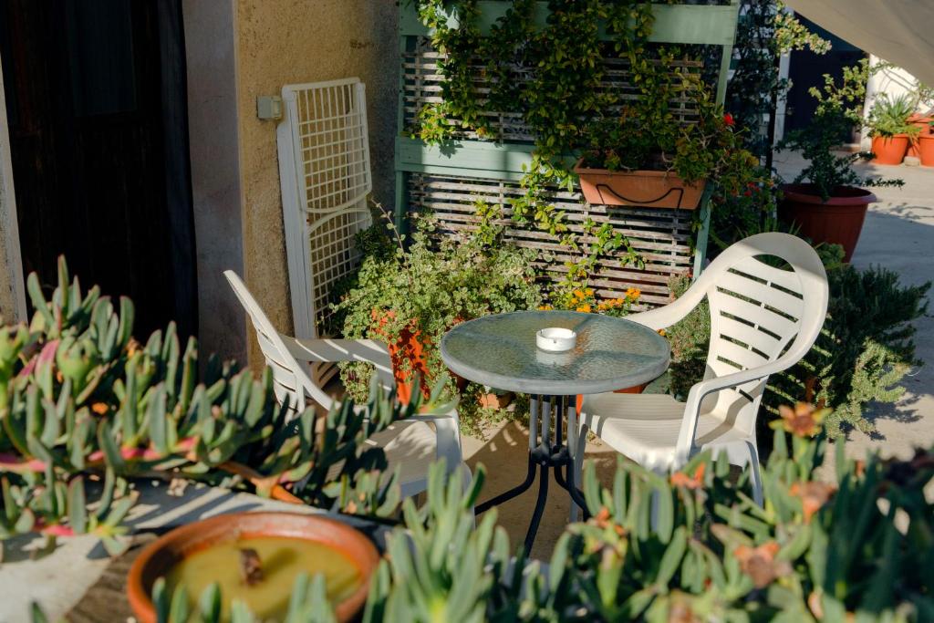Zahrada ubytování B&B La Ciammaruca