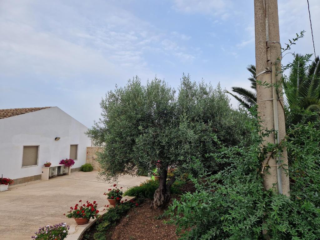 A garden outside Casa vacanza i due ulivi
