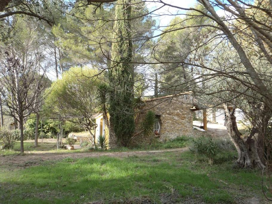 une maison en pierre au milieu d'un champ arboré dans l'établissement Maison en Provence-Côte d'Azur, au Beausset