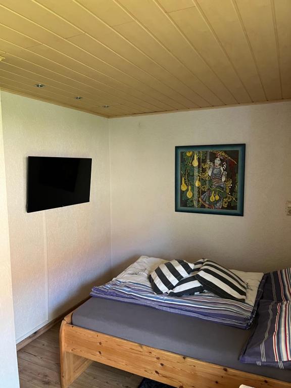 TV a/nebo společenská místnost v ubytování cafesahne u Pension
