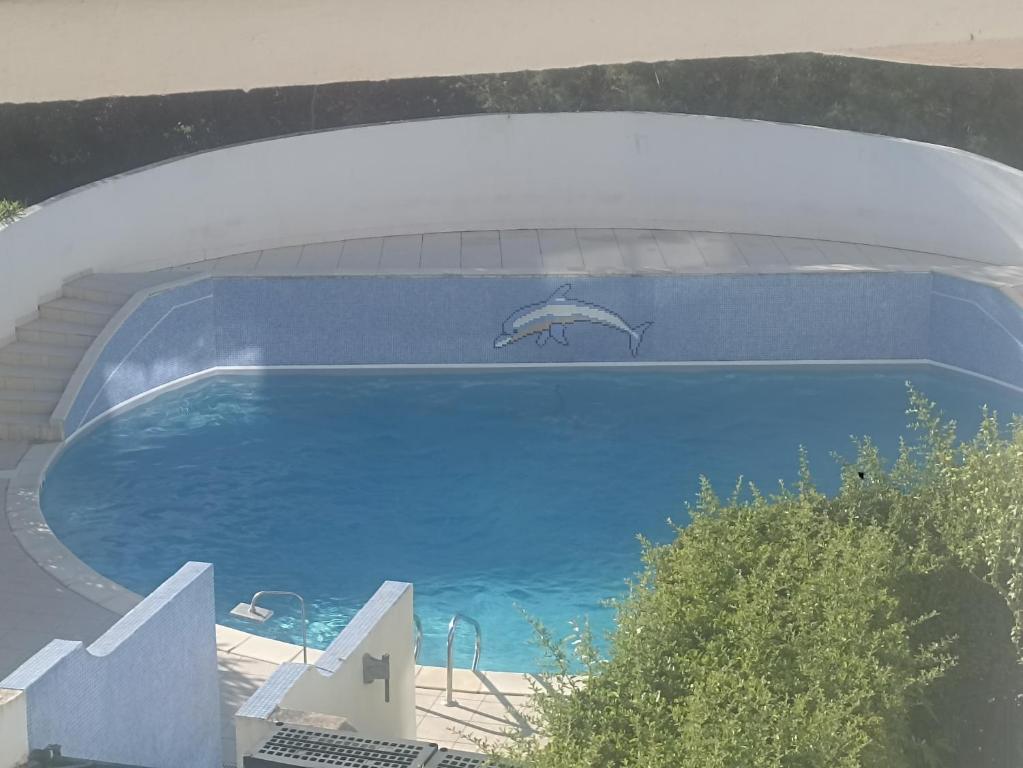 une grande piscine bleue dans un immeuble dans l'établissement Joli studio avec piscine à 200m de la plage parking privé, à La Grande Motte