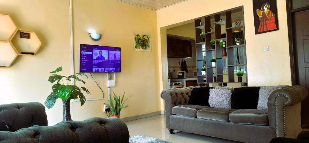 TV a/nebo společenská místnost v ubytování Kisumu Airport view 2br apartment house