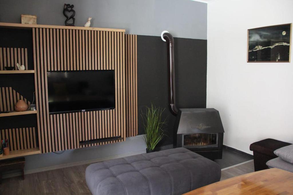TV a/nebo společenská místnost v ubytování Apartman Lilium
