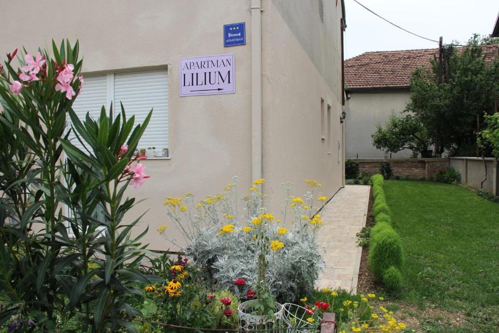 Zahrada ubytování Apartman Lilium