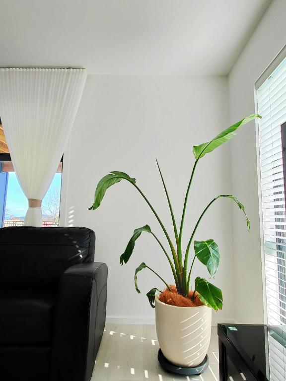 Better than Home - NEW Lake View - Resim 12