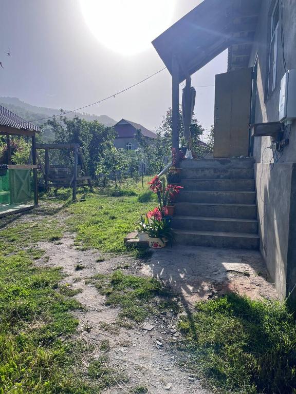 Κήπος έξω από το Casa de Pueblo