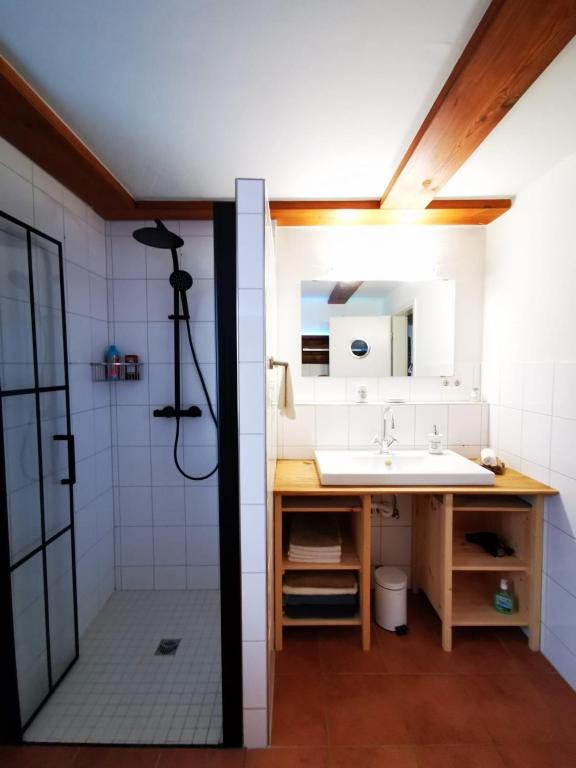 a bathroom with a sink and a mirror at Alpenpanorama Hägelberg in Steinen