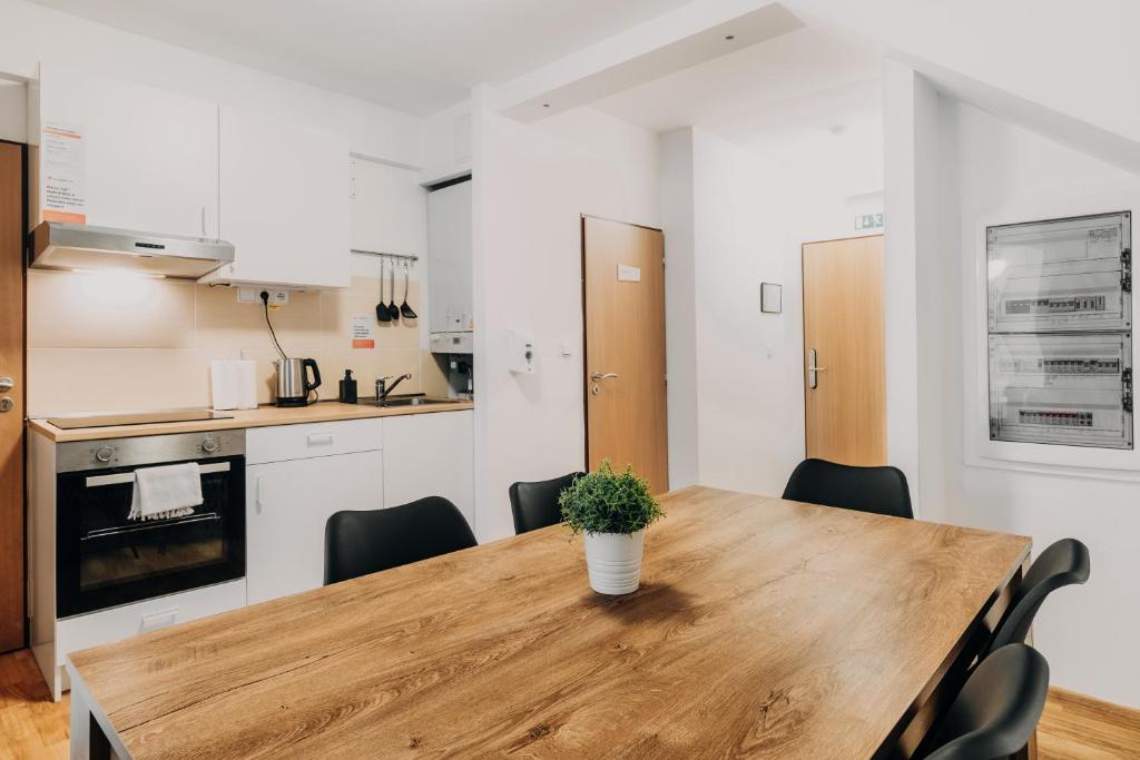 Internesto Brno - 10