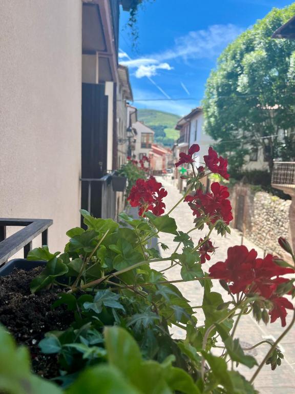 a plant with red flowers in a pot next to a building at Apartamentos Ubaga in Ezcaray
