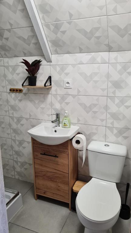 Gallery image of Agroturystyka Leśny Zakątek z Jacuzzi in Sucha