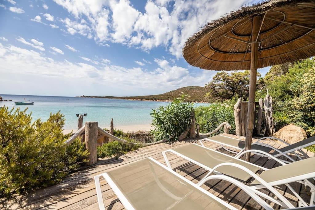 - une plage avec des chaises, un parasol et l'océan dans l'établissement Plage de Furnellu location pieds dans l'eau, à Monacia-dʼAullène