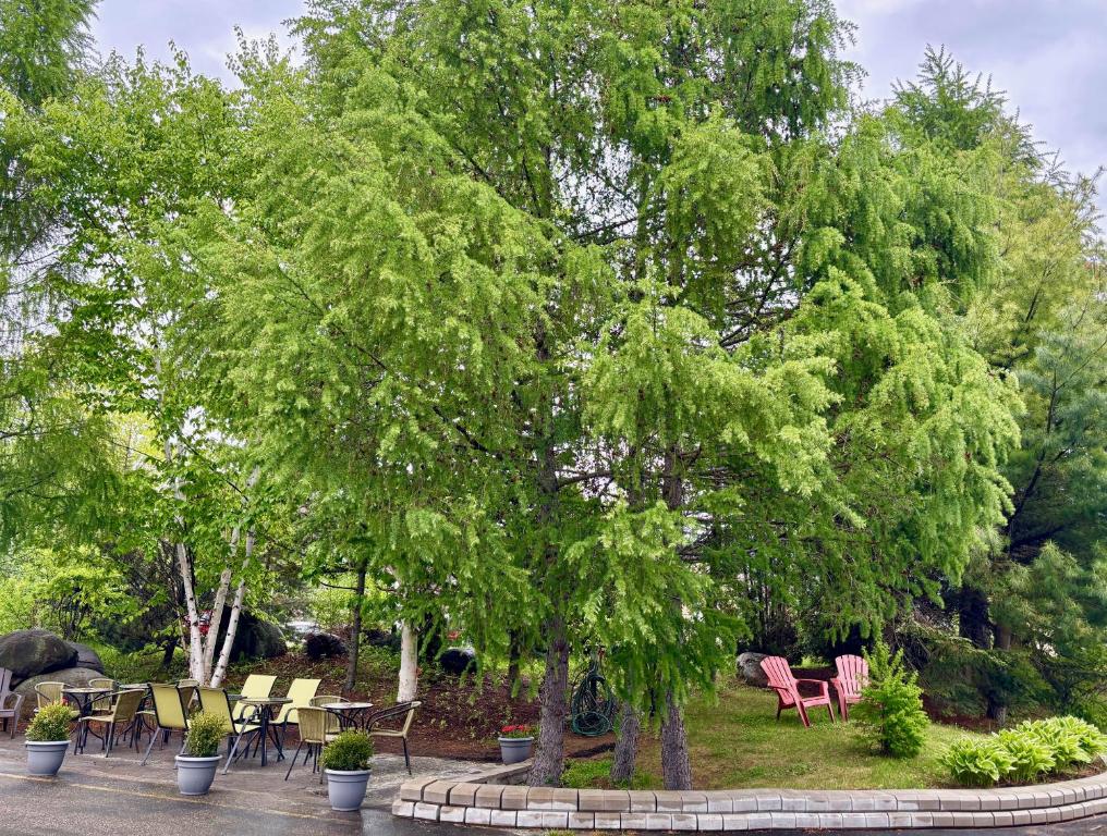 Aed väljaspool majutusasutust Motel Boutique Hygge