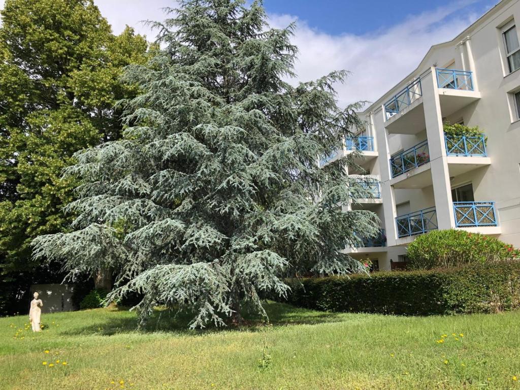 un grand pin devant un bâtiment dans l'établissement Type 2 rue Alsace lorraine 10mn plage, à La Rochelle