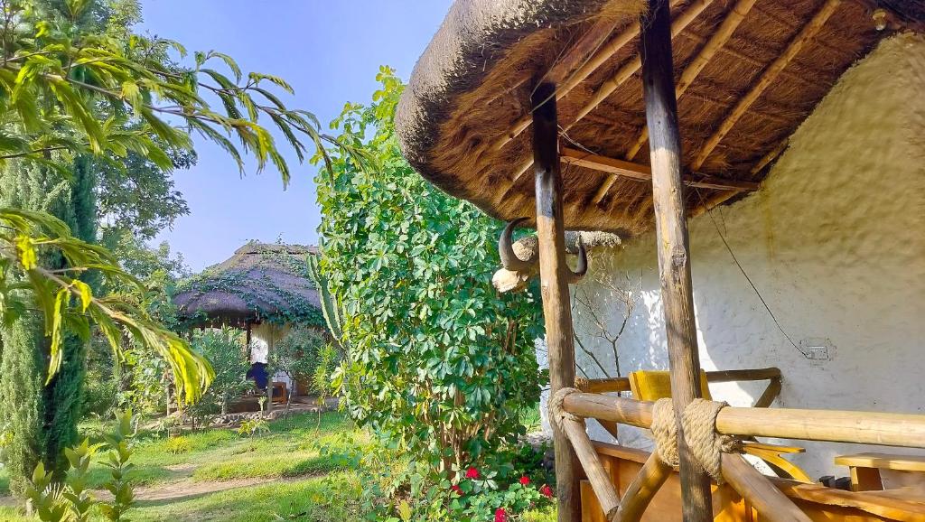 Zahrada ubytování Podocarpus cottages