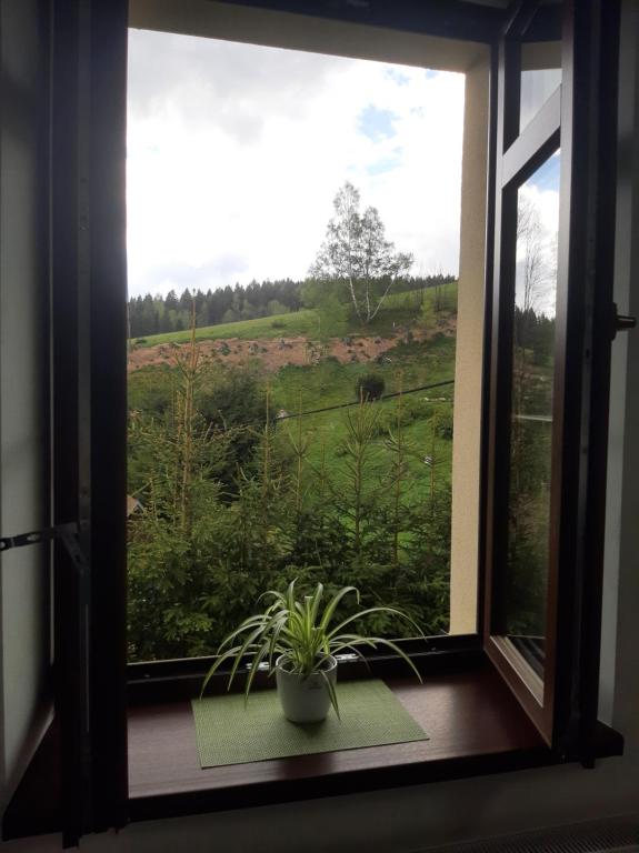Zahrada ubytování Apartmán Amálie