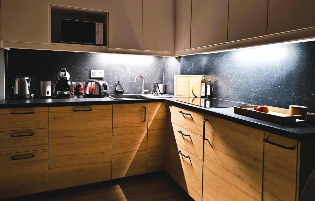 Kuchyň nebo kuchyňský kout v ubytování EDISON302 Fonyód