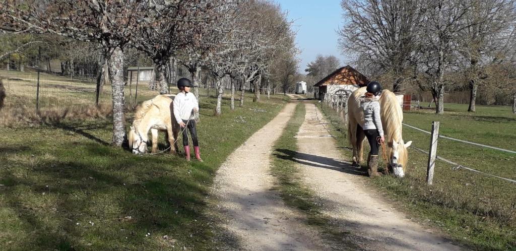 Zvířata v penzionu nebo okolí