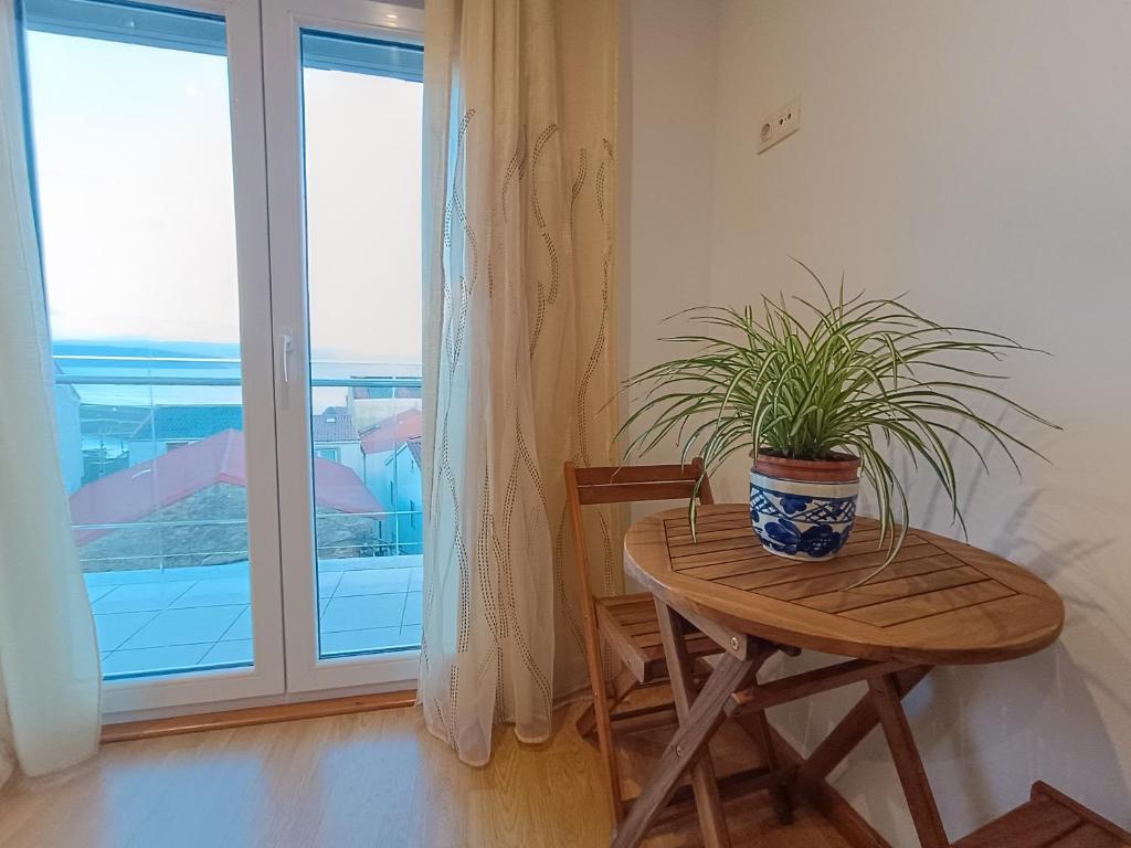 Una planta en maceta sobre una mesa en una habitación con ventana. en Casa do Campo e Mar, en Finisterre