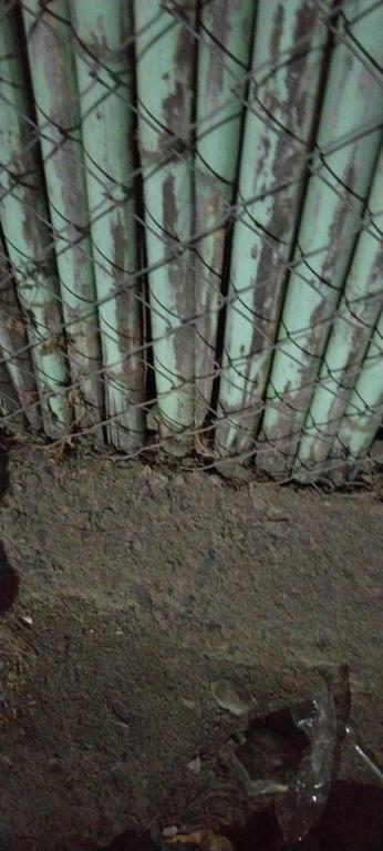 grupa drzew za płotem z drutu w obiekcie Mahalok guest house w mieście Ujjain