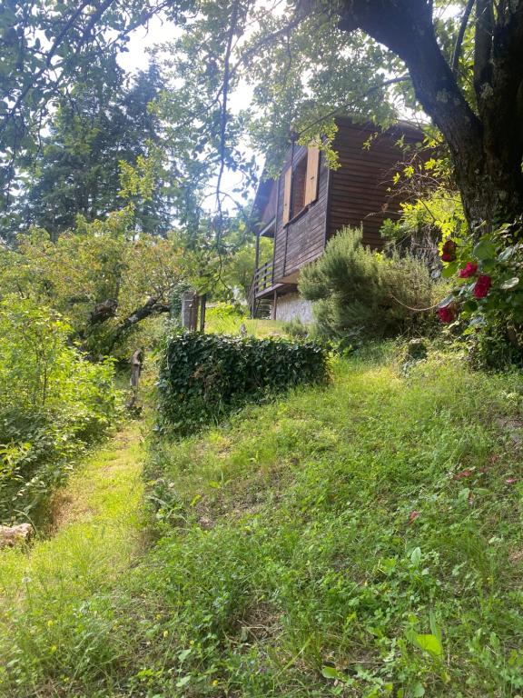 Zahrada ubytování Chalet Les Accacias