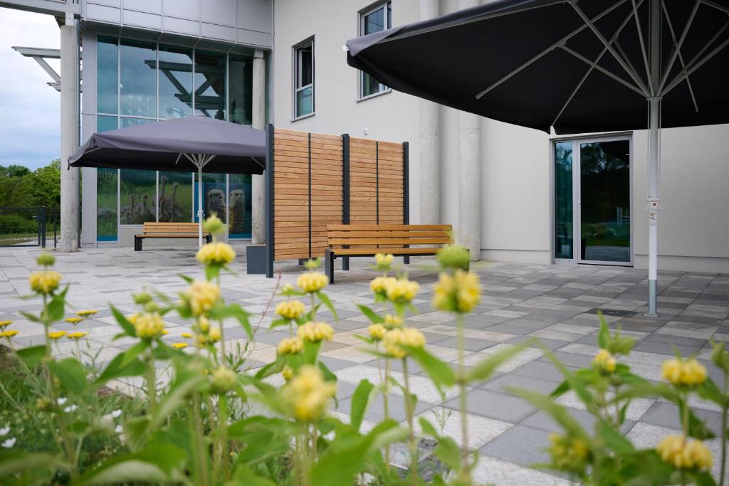Zahrada ubytování Hostel