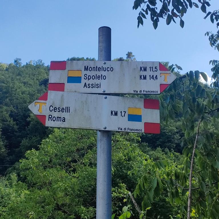 Příroda nedaleko apartmánu