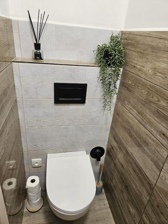 Koupelna v ubytování Apartmán 184 - Vysoké Mýto