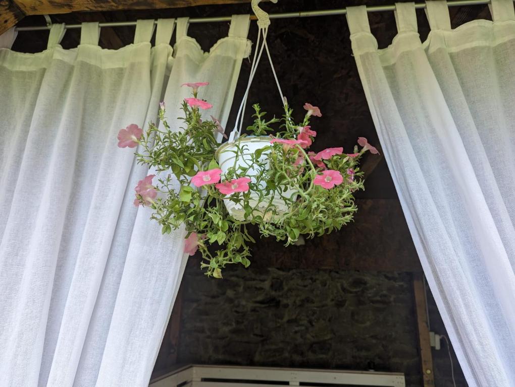 Zahrada ubytování Casa Alex
